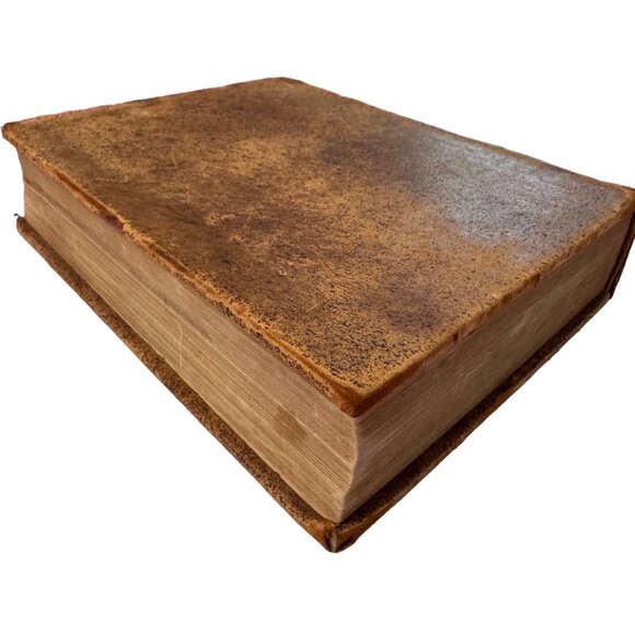 Luthers Sämtliche Schriften I. Auslegung Des Alten Testaments I. 1880 HC German - Picture 16 of 16